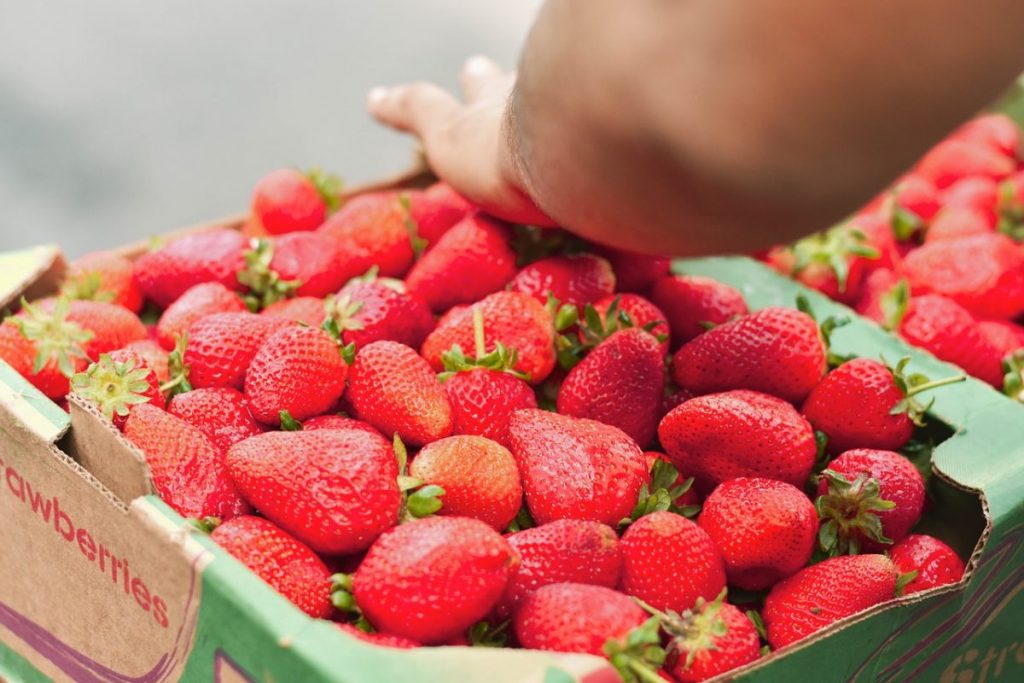 Carton de fraises